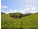 Millaa Millaa QLD 4886