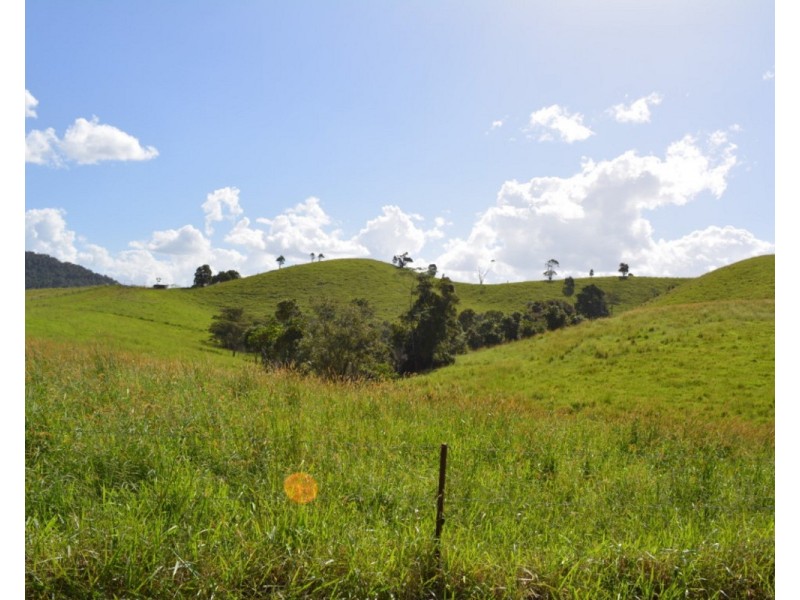 Millaa Millaa QLD 4886