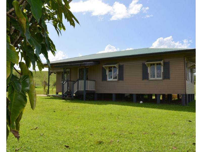 Millaa Millaa QLD 4886