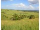 Millaa Millaa QLD 4886