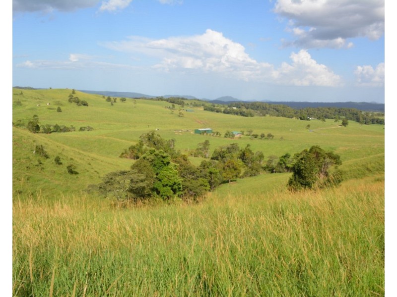 Millaa Millaa QLD 4886