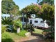 Millaa Millaa QLD 4886