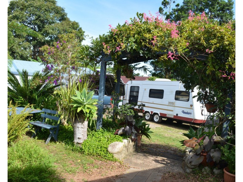 Millaa Millaa QLD 4886