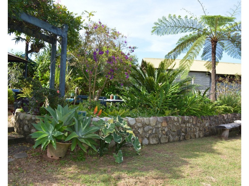Millaa Millaa QLD 4886