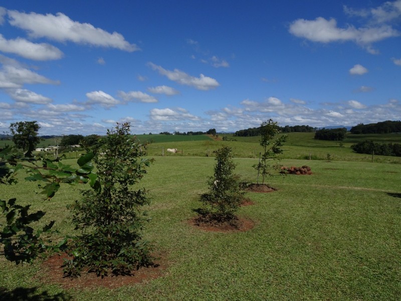 Malanda QLD 4885
