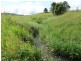 Upper Barron QLD 4883