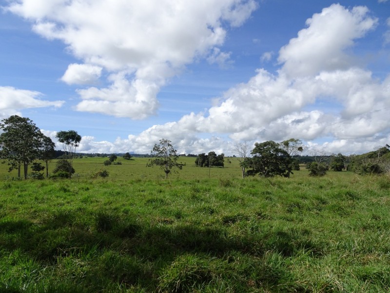 Upper Barron QLD 4883