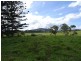 Upper Barron QLD 4883