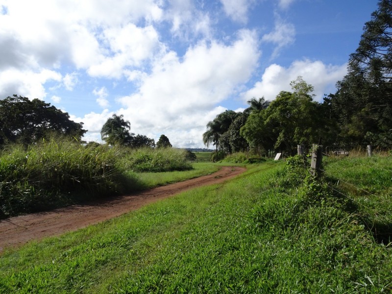 Upper Barron QLD 4883
