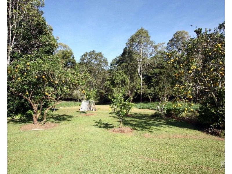 Yungaburra QLD 4884