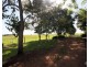 Yungaburra QLD 4884