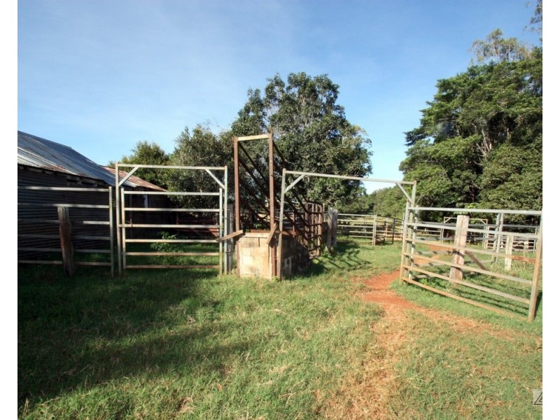 Yungaburra QLD 4884