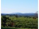 Millaa Millaa QLD 4886