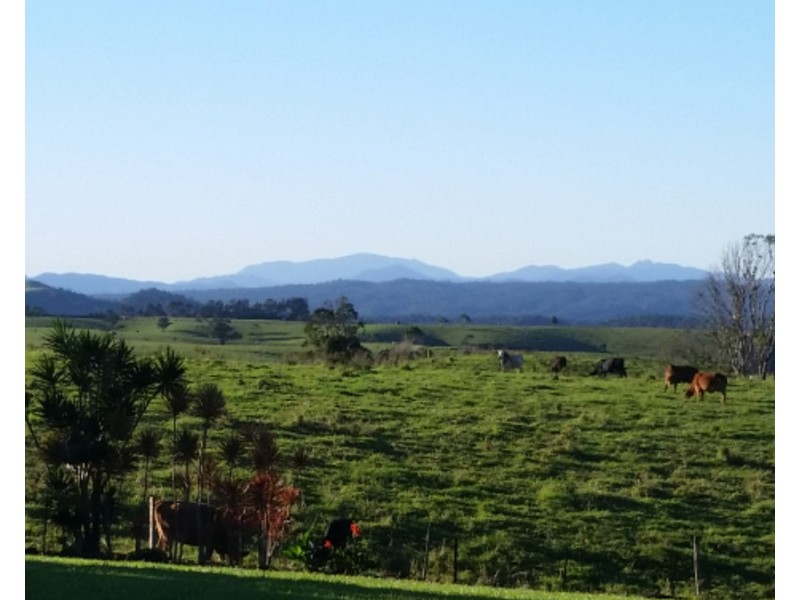 Millaa Millaa QLD 4886