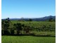 Millaa Millaa QLD 4886