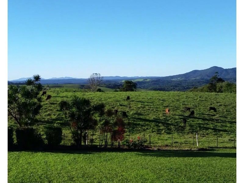 Millaa Millaa QLD 4886