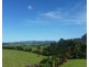 Millaa Millaa QLD 4886