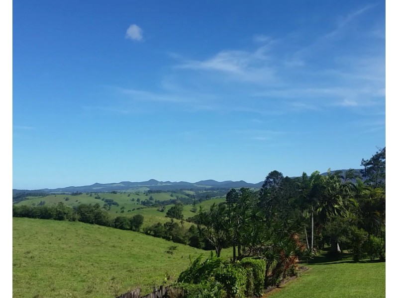 Millaa Millaa QLD 4886