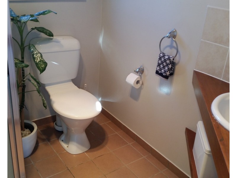 Millaa Millaa QLD 4886
