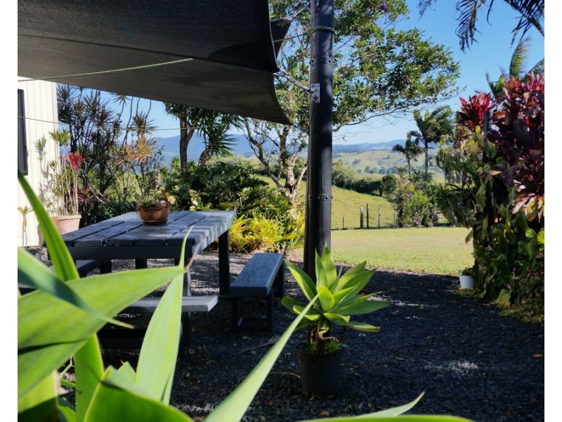 Millaa Millaa QLD 4886