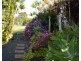 Millaa Millaa QLD 4886