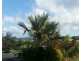 Millaa Millaa QLD 4886