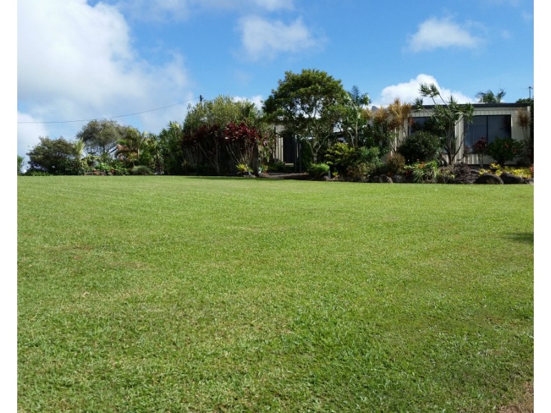 Millaa Millaa QLD 4886