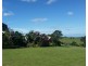 Millaa Millaa QLD 4886