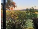 Millaa Millaa QLD 4886