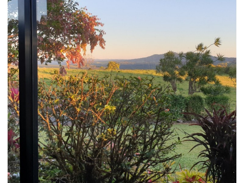 Millaa Millaa QLD 4886