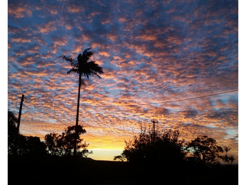 Millaa Millaa QLD 4886