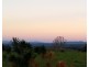 Millaa Millaa QLD 4886