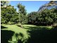 Yungaburra QLD 4884