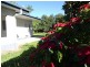 Yungaburra QLD 4884
