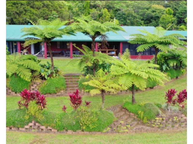 Millaa Millaa QLD 4886