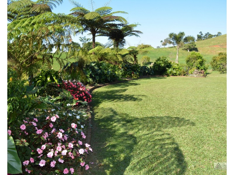 Millaa Millaa QLD 4886