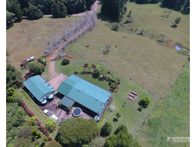 Millaa Millaa QLD 4886