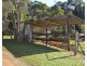 Millaa Millaa QLD 4886