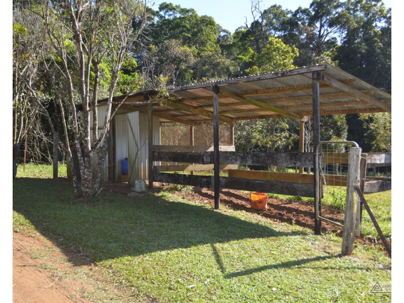 Millaa Millaa QLD 4886