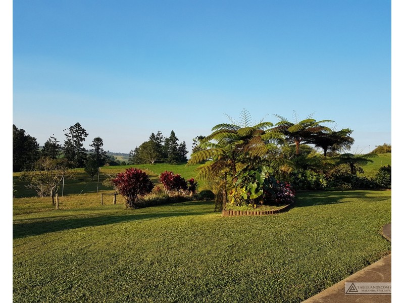 Millaa Millaa QLD 4886