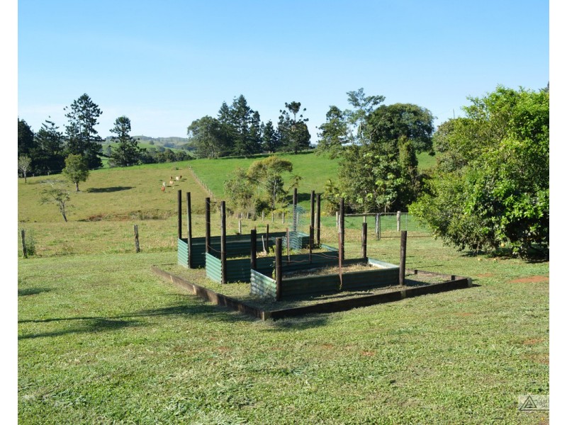 Millaa Millaa QLD 4886