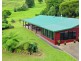 Millaa Millaa QLD 4886