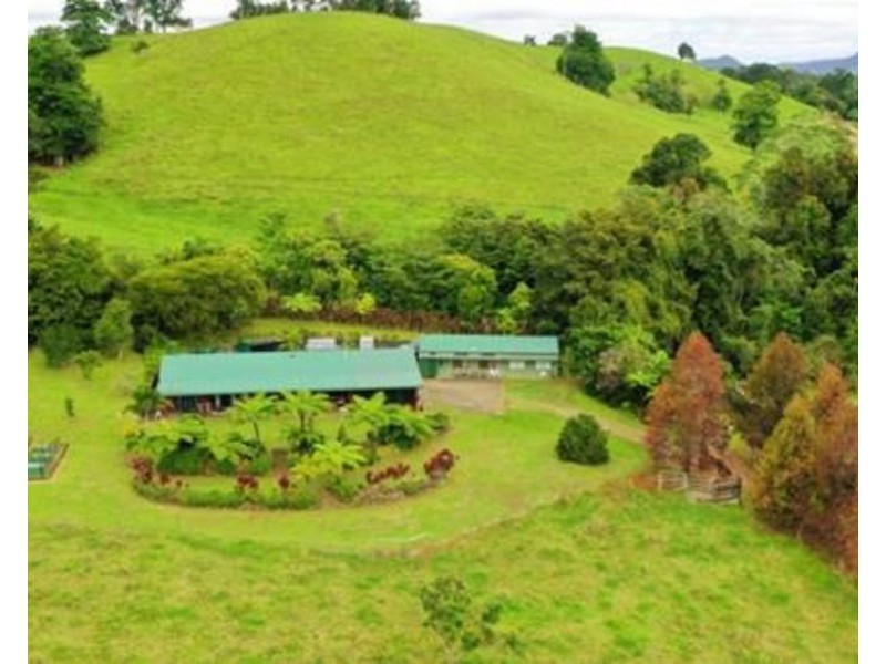 Millaa Millaa QLD 4886