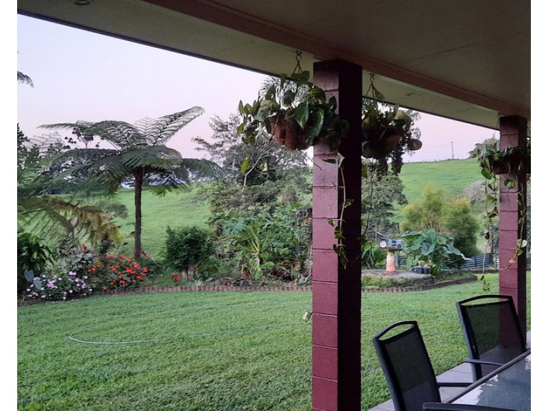 Millaa Millaa QLD 4886