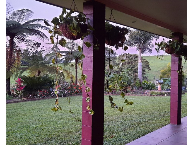 Millaa Millaa QLD 4886