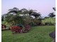 Millaa Millaa QLD 4886