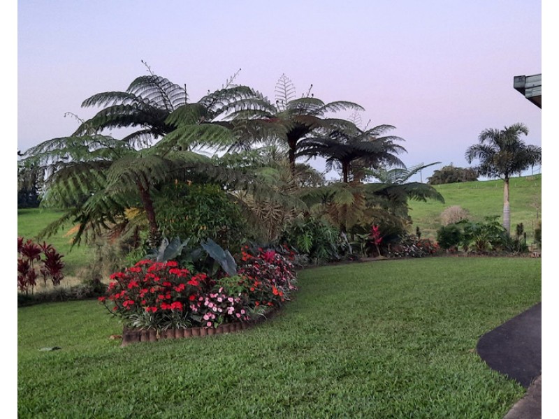 Millaa Millaa QLD 4886