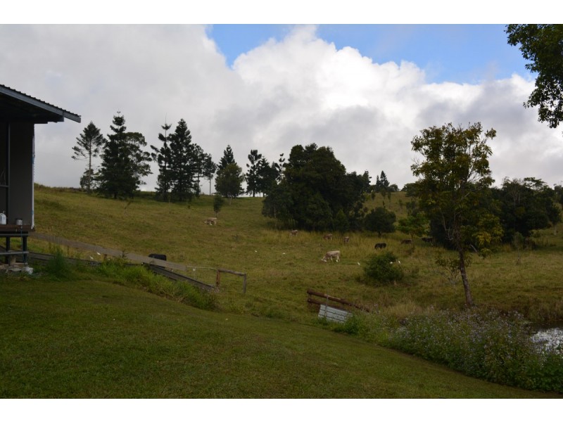 Millaa Millaa QLD 4886