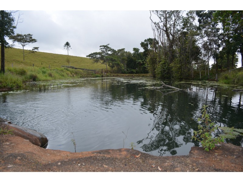 Millaa Millaa QLD 4886