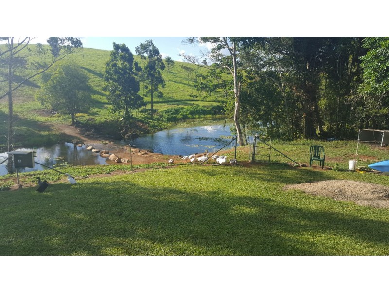 Millaa Millaa QLD 4886